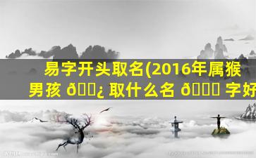 易字开头取名(2016年属猴男孩 🌿 取什么名 🐅 字好)